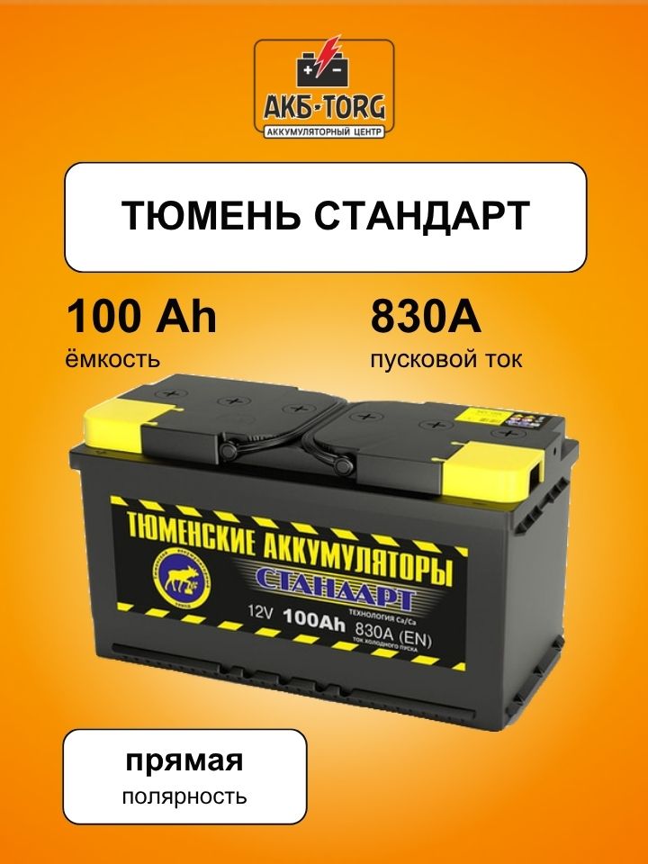 6СТ-100L СТАНДАРТ п/п батарея аккумуляторная свинцовая стартерная